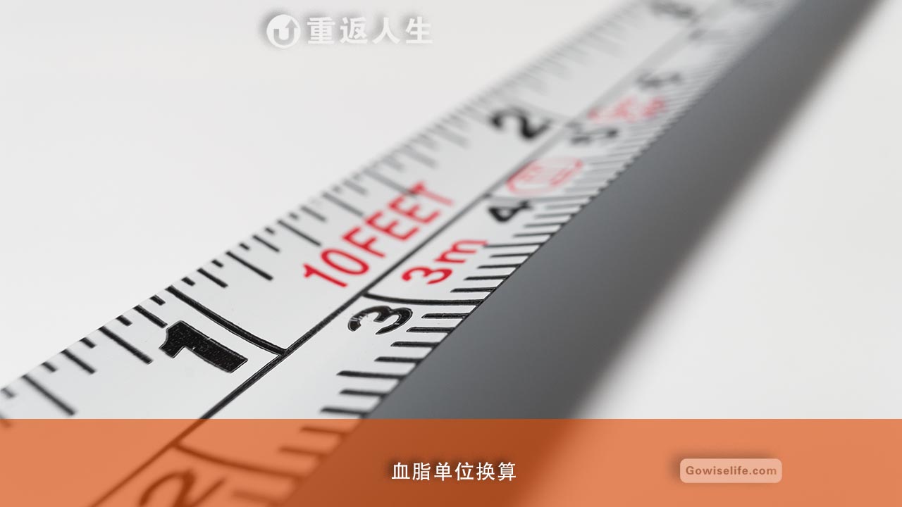 血脂单位转换表