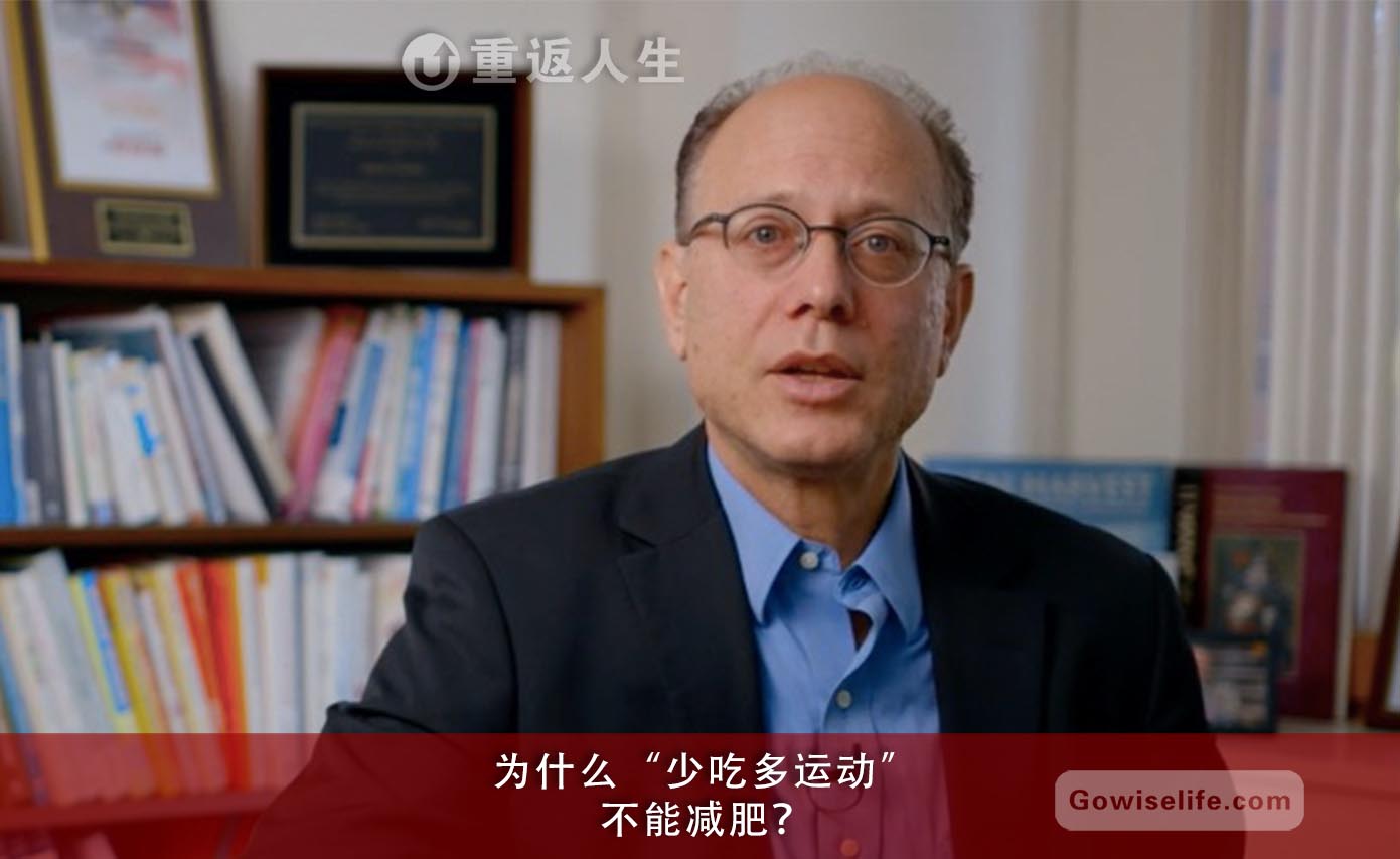 为什么少吃多运动不能减肥，所有的卡路里都一样吗？/David Ludwig, PhD