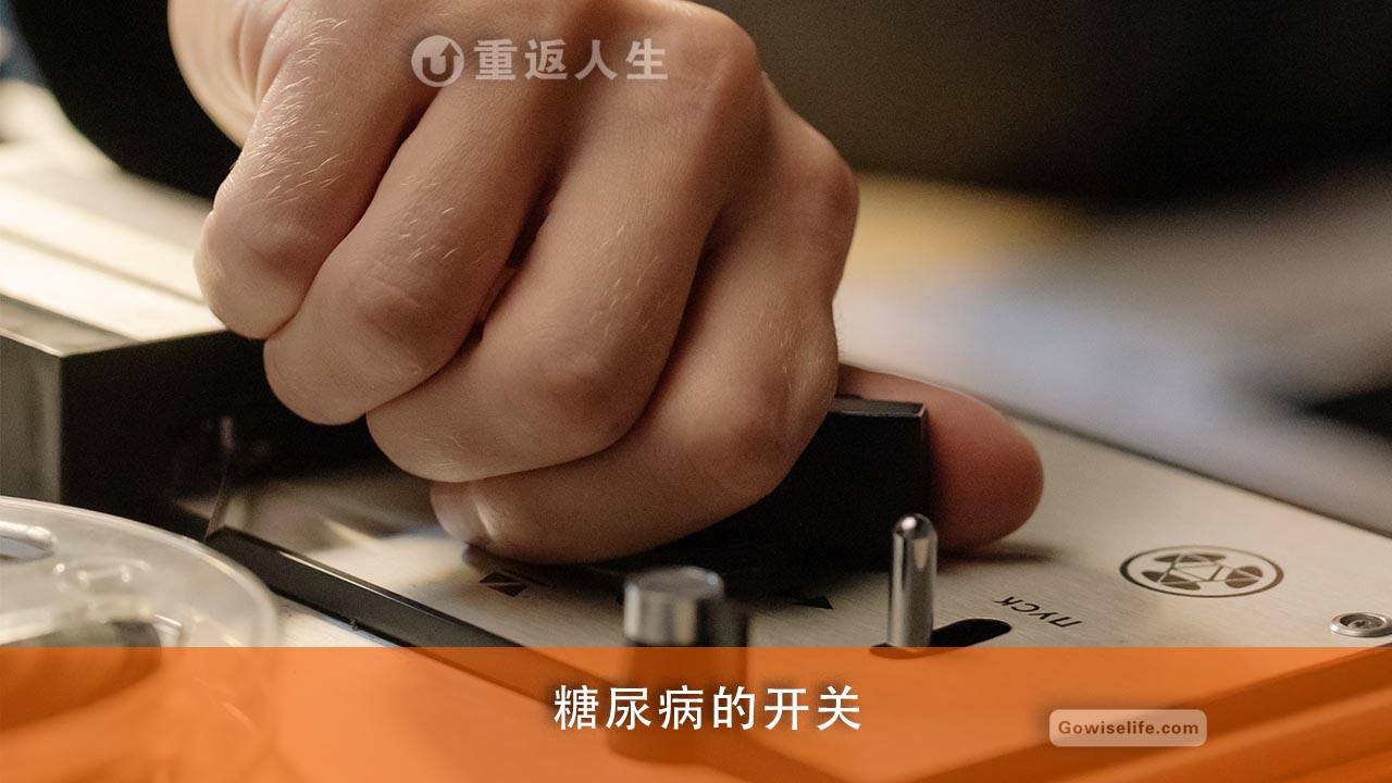 比克曼博士：从健康到糖尿病—是什么扳动了这个开关？（中文配音）/Dr. Benjamin Bikman