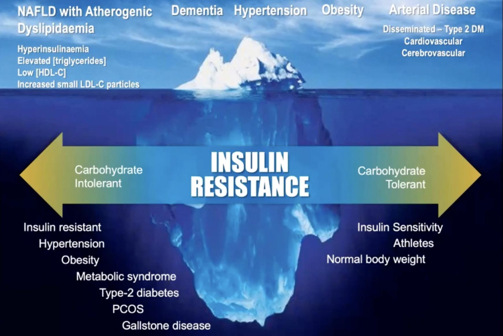 Prof Tim Noakes The Cause of Majority Modern Chronic Diseases can be Traced to the Effects of Diet